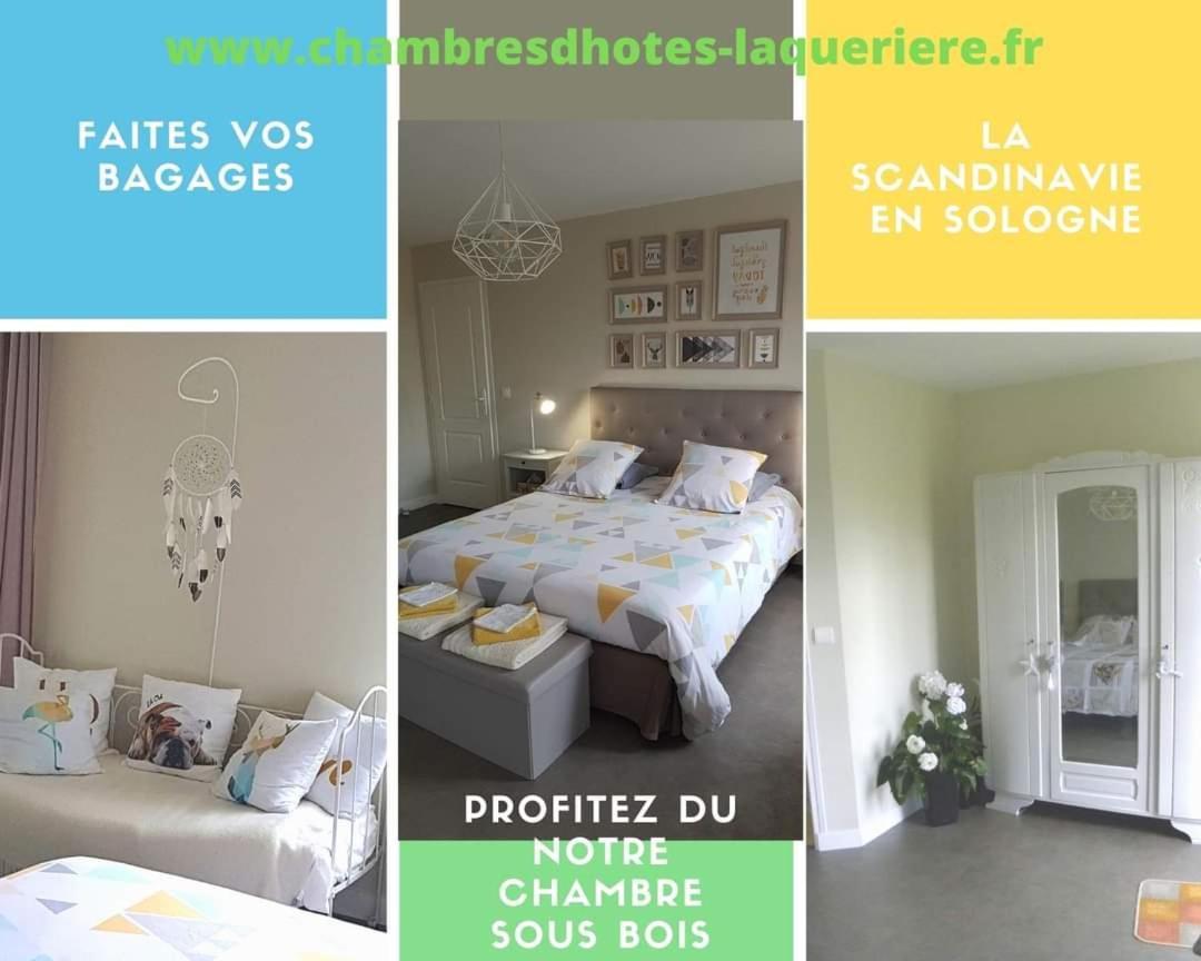 Mur-de-Sologne Chambres D'Hotes La Queriere מראה חיצוני תמונה